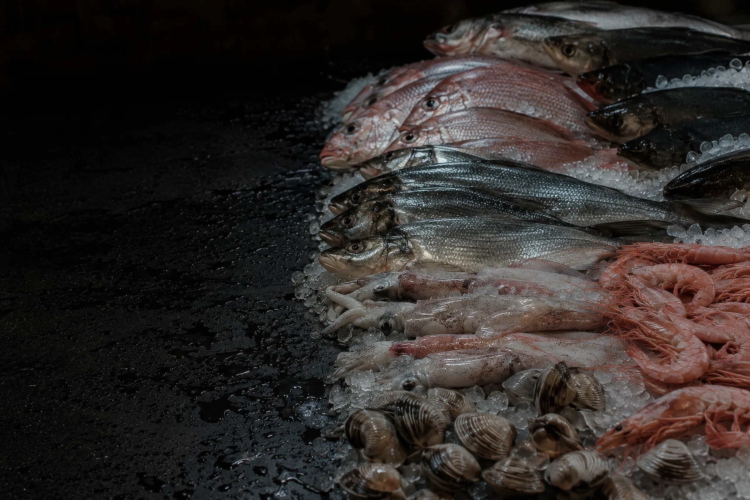 Pescados y mariscos frescos sobre hielo en Carvan